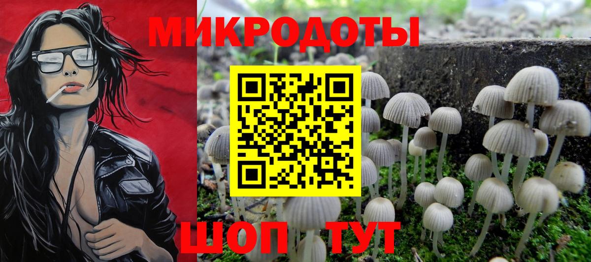 Галлюциногенные грибы Psilocybe  Вход с VPN  Горно-Алтайск  Галлюциногенные грибы GOLDEN TEACHER 